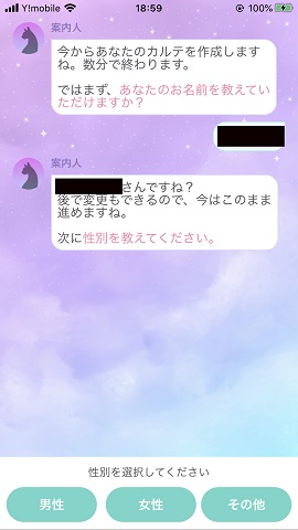 チャット占いアプリ『ステラ』名前や性別、生年月日、悩みのカテゴリを入力